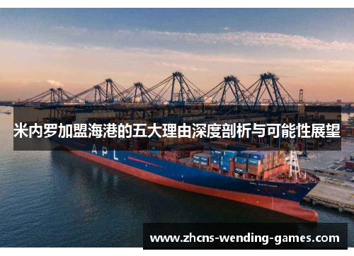 米内罗加盟海港的五大理由深度剖析与可能性展望