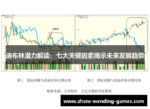 迪布林潜力解读：七大关键因素揭示未来发展趋势