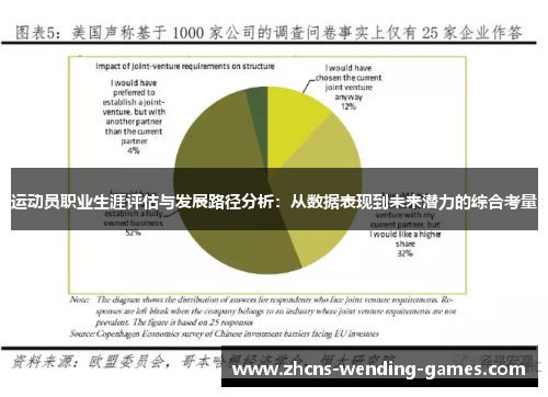 运动员职业生涯评估与发展路径分析：从数据表现到未来潜力的综合考量