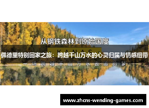 佩德里特别回家之旅：跨越千山万水的心灵归属与情感纽带