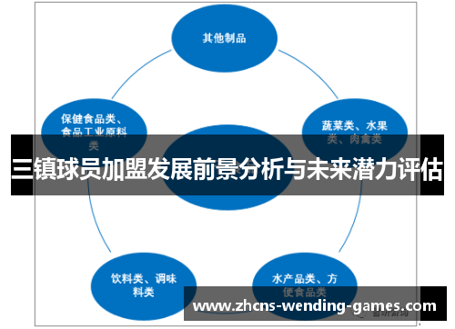三镇球员加盟发展前景分析与未来潜力评估