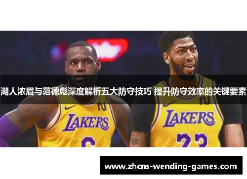 湖人浓眉与范德彪深度解析五大防守技巧 提升防守效率的关键要素