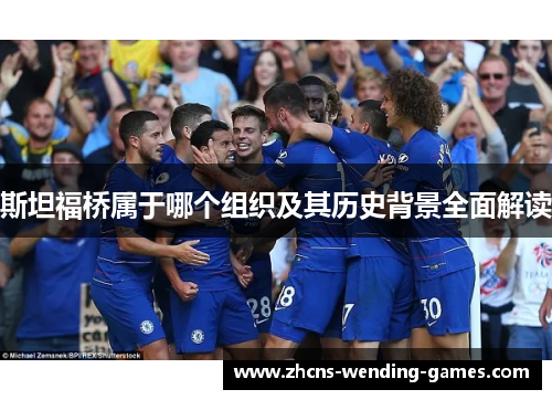 斯坦福桥属于哪个组织及其历史背景全面解读