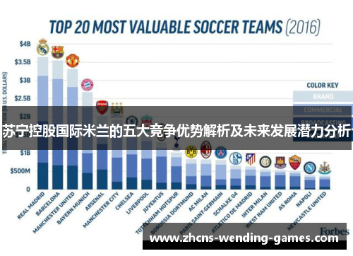 苏宁控股国际米兰的五大竞争优势解析及未来发展潜力分析