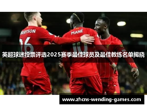 英超球迷投票评选2025赛季最佳球员及最佳教练名单揭晓