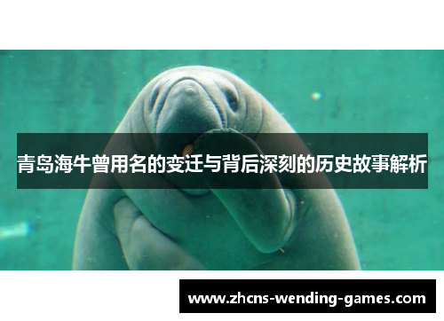 青岛海牛曾用名的变迁与背后深刻的历史故事解析